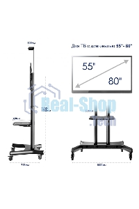 Стойка для телевизора с кронштейном ONKRON TS1881 50