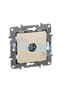 Розетка телевизионная TV Звезда сл. кость ETIKA