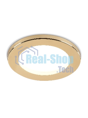 Светильник Ambrella light TN6634 GD золото IP44 GX53 D100*60