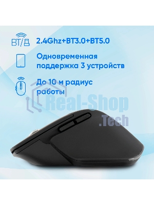 Мышь беспроводная Oklick 503MW черный, 2400 dpi, радиоканал, Bluetooth, USB, кнопки - 6
