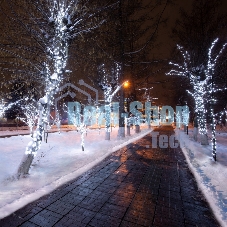 Гирлянда Neon-night LED Клип-лайт 12 V, прозрачный ПВХ, 150 мм, цвет диодов белый Flashing (белый)
