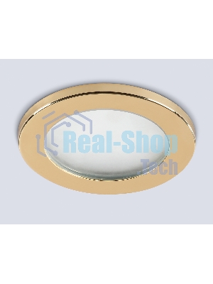 Светильник Ambrella light TN6634 GD золото IP44 GX53 D100*60