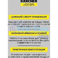 Очиститель Karcher WV 2 Black Edition