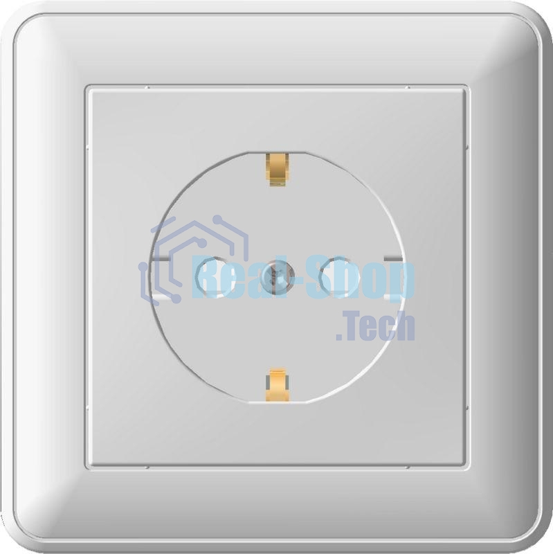 Розетка 1-м СП W59 16А защ. шторки с заземл. сл. кость SchE RS16-152-28 (РС16-152-28)