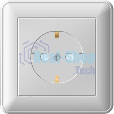 Розетка 1-м СП W59 16А защ. шторки с заземл. сл. кость SchE RS16-152-28 (РС16-152-28)
