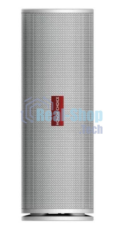 Акустическая система Honor Choice BTH 30W белый PRO 5504AAVN VNC-ME00