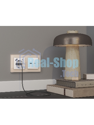 Комплект механизма розетки ALFA Белый глянец 2USB A+C 20W (быстрая зарядка) QUANT MA111010