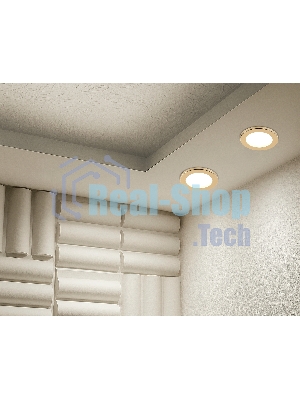 Светильник Ambrella light TN6634 GD золото IP44 GX53 D100*60