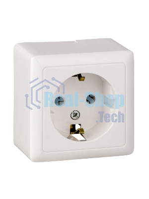 Розетка 1-м ОП Хит 16А с заземл. белый SchE RA16-133-B