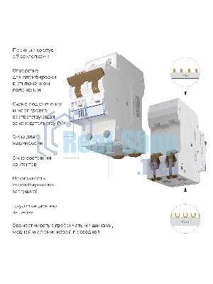 Автоматический выключатель Werkel 2P 32 A C 4,5 кА W902P324