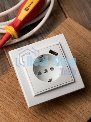 Розетка EKF Минск ERR16-028-100-USB 1-местная СП с/з с защитными шторками 16А белая с USB 1А