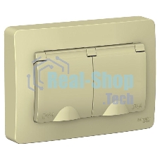 Розетка 2-м СП Blanca 16А 250В с защ. крышкой защ. шторки с заземл. IP44 беж. SchE BLNRS441127