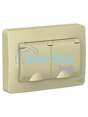Розетка 2-м СП Blanca 16А 250В с защ. крышкой защ. шторки с заземл. IP44 беж. SchE BLNRS441127