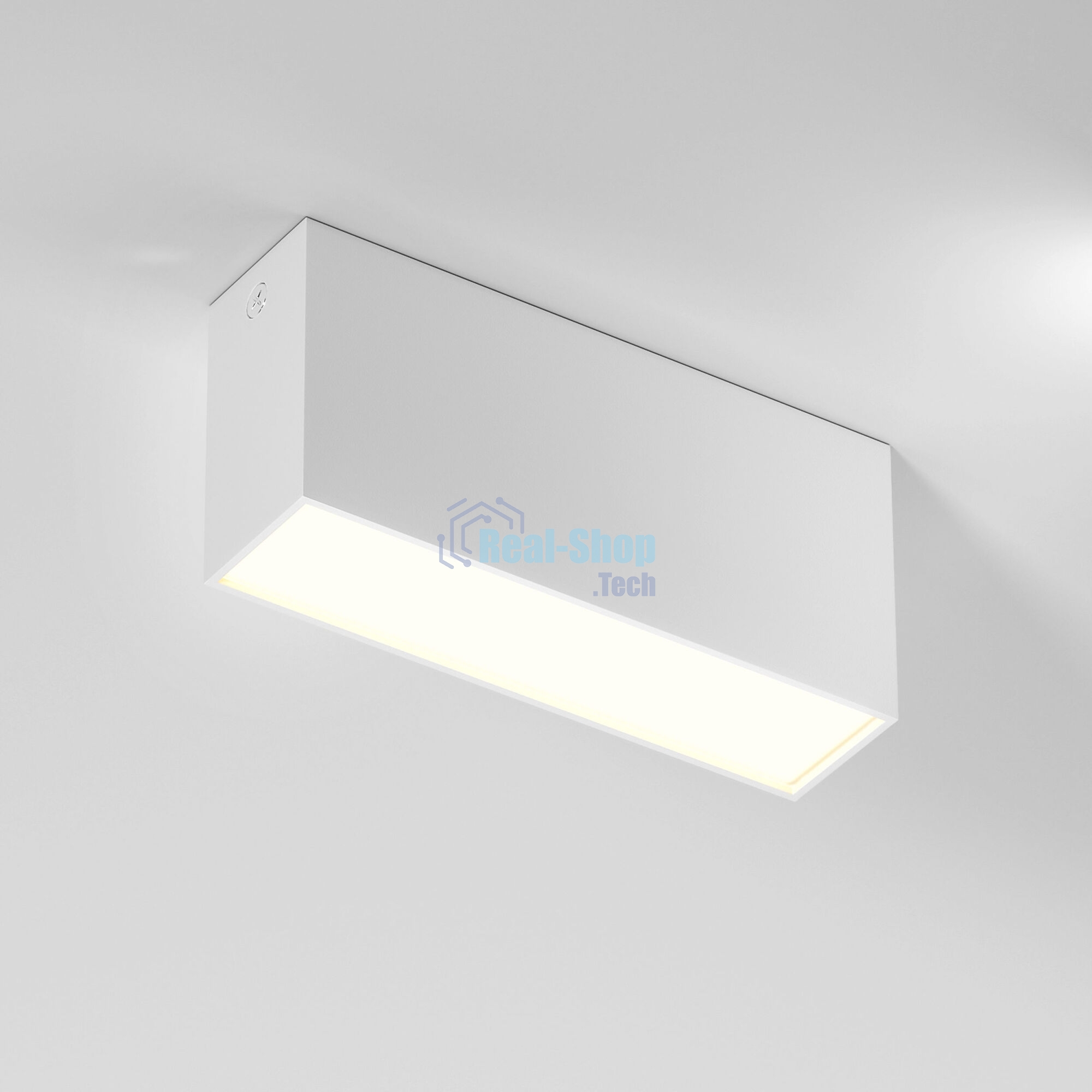 25109/LED 10W 3000K / Светильник потолочный светодиодный / белый