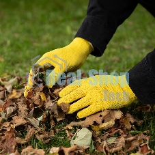 Перчатки в наборе Palisad 5 пар, цвета в ассортименте, ПВХ точка, L,