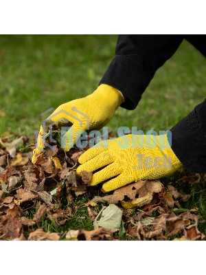 Перчатки в наборе Palisad 5 пар, цвета в ассортименте, ПВХ точка, L,