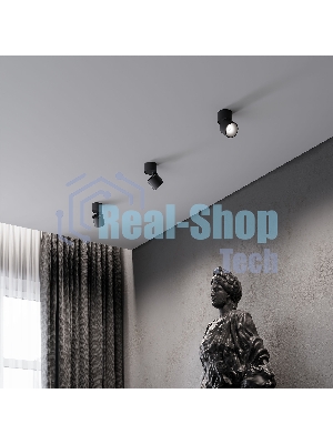 25112/LED 9W 4000K / Светильник потолочный светодиодный / черный