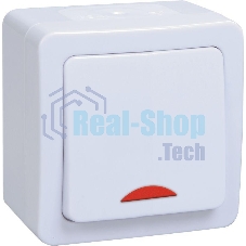 Выключатель 1-кл. ОП ГЕРМЕС PLUS для открытой установки со свет. индик. ВС20-1-1-ГПБ IP54 (цвет клавиши: белый) IEK EVMP11-K01-10-54-EC