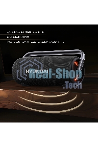 Портативная колонка Hyundai H-PS1029 черный 220W 4.1 BT 10м 4800mAh
