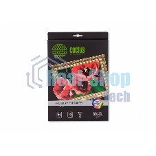 Холст Cactus CS-CA426010 A4/260г/м2/10л. для струйной печати