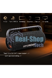 Портативная колонка Hyundai H-PS1029 черный 220W 4.1 BT 10м 4800mAh