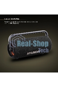 Портативная колонка Hyundai H-PS1029 черный 220W 4.1 BT 10м 4800mAh