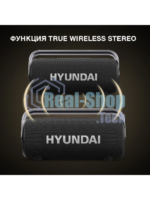 Колонка портативная Hyundai H-PS1029 черный 220W 4.1 BT 10м 4800mAh