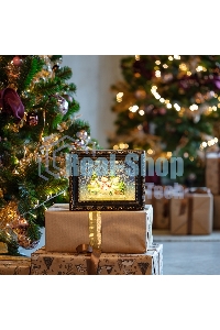 Декоративный светильник Neon-night 