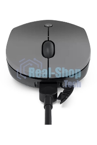 Мышь беспроводная Lenovo Go серый, 2400 dpi, радиоканал, USB-C, кнопки - 3