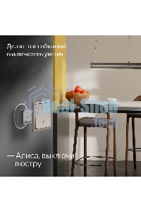 Умное реле Yandex YNDX-00538 2канал. белый