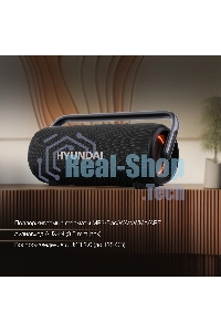 Портативная колонка Hyundai H-PS1029 черный 220W 4.1 BT 10м 4800mAh