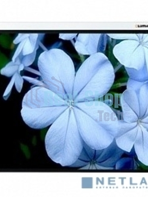 Экраны LUMIEN Master Picture LMP-100102
