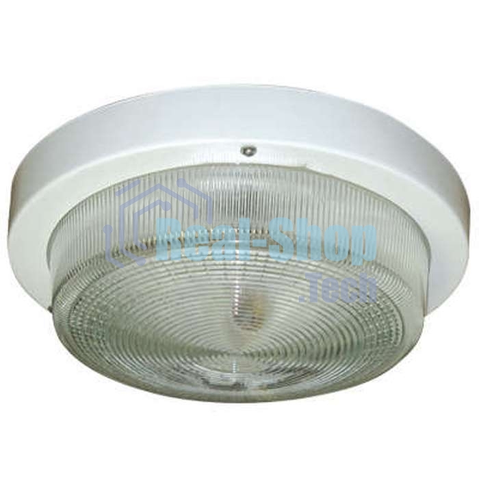 Светильник ЭЛЕТЕХ НПП 03-100-002 