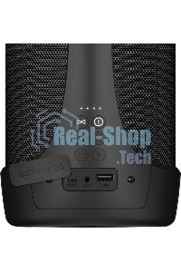 Колонка портативная Sven АС PS-370 черный 40W 2.0 BT