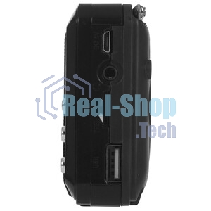 Радиоприемник SOUNDMAX SM-RD2116 черный