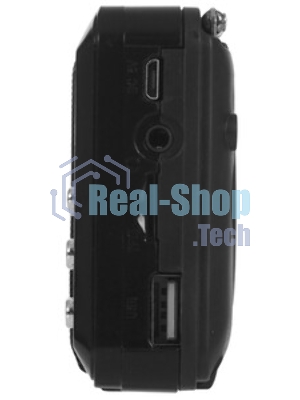 Радиоприемник SOUNDMAX SM-RD2116 черный