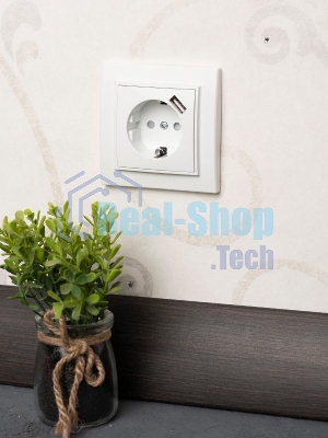 Розетка EKF Минск ERR16-028-100-USB 1-местная СП с/з с защитными шторками 16А белая с USB 1А