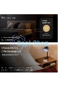 Умное реле Yandex YNDX-00538 2канал. белый