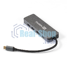 USB-концентратор ExeGate DUB-21C/PD/HL (кабель-адаптер USB Type-C --> 2xUSB3.0 + PD 100W + HDMI 4K@60Hz + Lan RJ45 10/100/1000Mb, Plug&Play, серая)