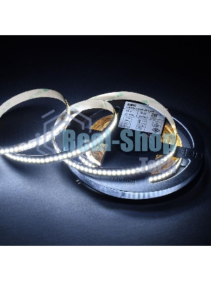 Лента светодиодная 5м SMD2835 240LED/м 22Вт/м IP20 ширина 10мм 24В холодный белый