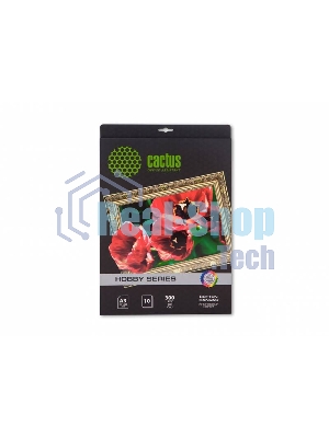 Холст Cactus CS-СA326010 A3/10л. для струйной печати