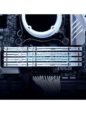 Оперативная память Kingston Fury Beast, DDR5, 32Gb (1x32GB), 5600MHz, CL40, DIMM, радиатор, белый