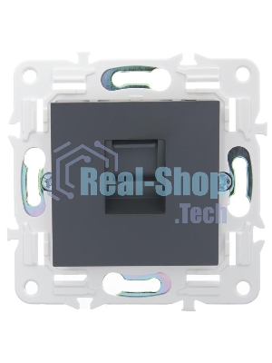 Розетка компьютерная RJ45 кат.5E SK-K01T IEK SKANDY Титан