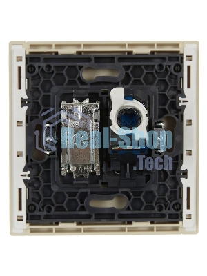 Розетка двойная TV+RJ45 кат.6 FP437 IEK FORTE&PIANO Ваниль