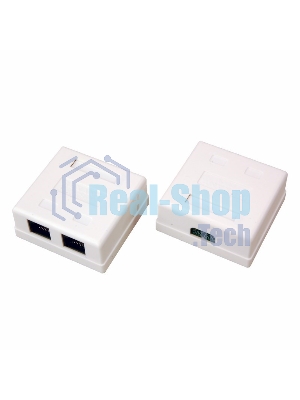Розетка Rexant сетевая LAN, на стену, (2 гнездо 8Р8С (Rj-45), 5e кат)