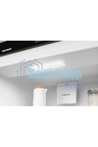 Встраиваемый холодильник Liebherr BUILT-IN ICNSE 5103-20 001
