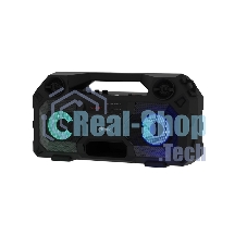 Акустическая система RITMIX SP-690B черный