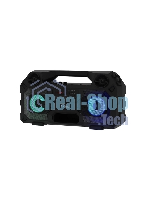 Акустическая система RITMIX SP-690B черный