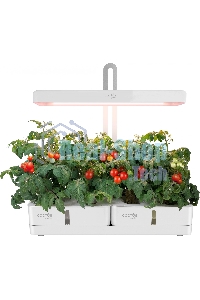 Гидропонная установка Cactus Garden 3л 20Вт белый (CS-LEDPOT-08)