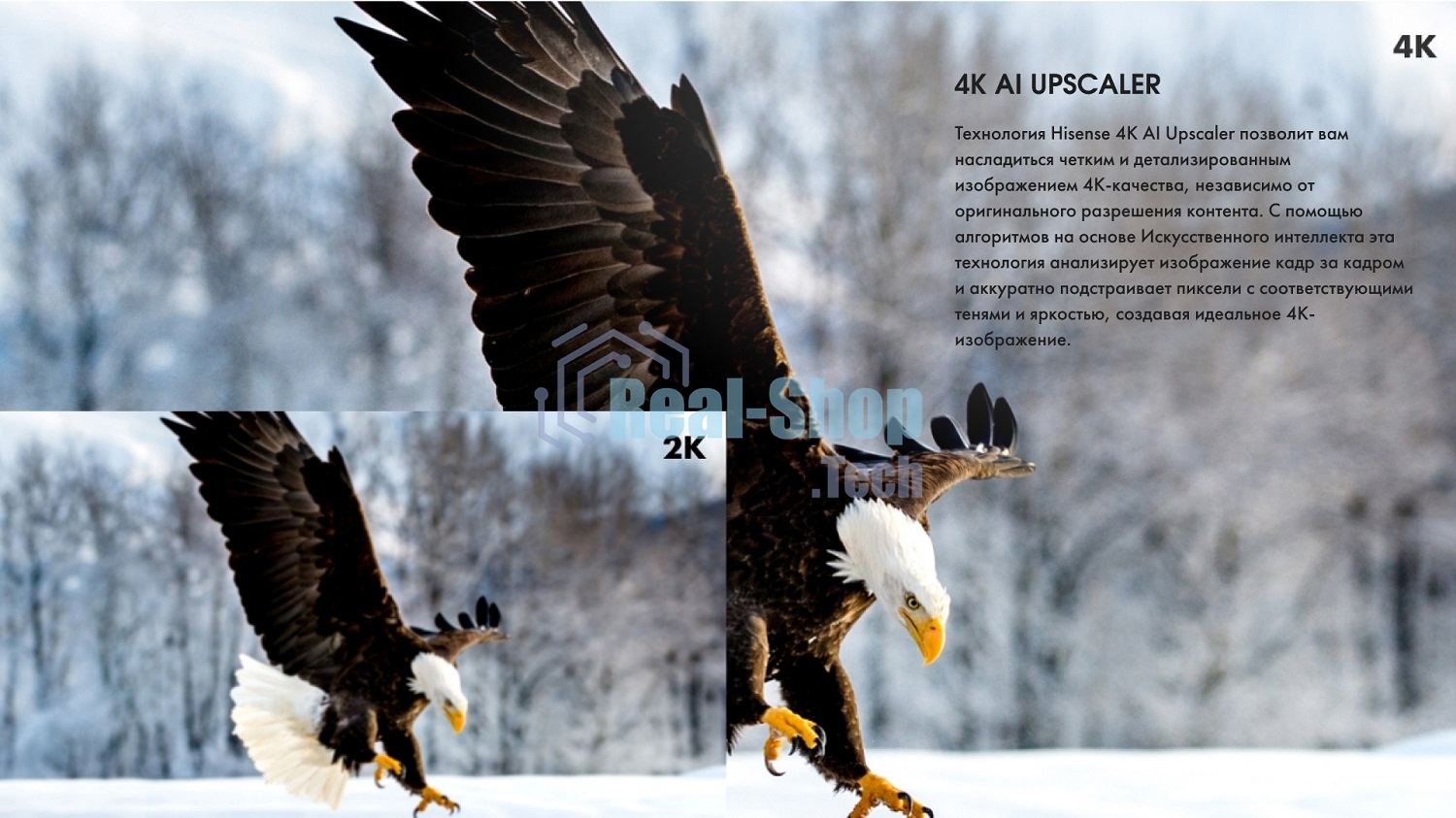 Телевизор Hisense 55